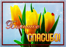 Милая открытка большое спасибо