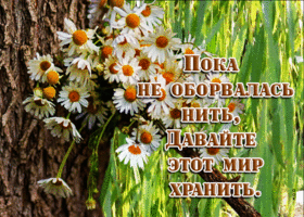 Милая открытка Давайте этот мир хранить