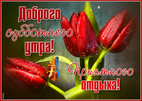 Милая открытка Доброго субботнего утра! Приятного отдыха