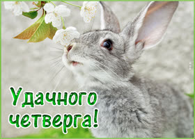 Милая открытка с четвергом