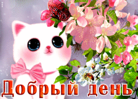 Милая открытка с котёнком, добрый день