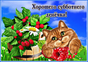 Милая открытка с малиной Хорошего субботнего денечка!