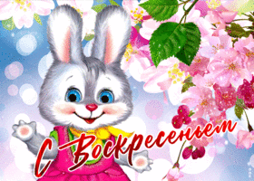 Милая открытка с зайцем С воскресеньем