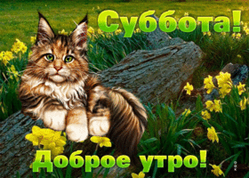 Милая открытка Суббота! Доброе утро!