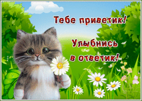 Милая открытка Тебе приветик улыбнись