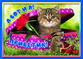Миленький от меня приветик