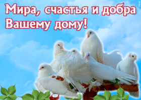 Мир и добра вашему дому