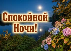 Мягкой ночи, красивых снов и тёплого чувства уюта.