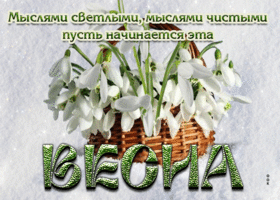Мыслями светлыми, мыслями чистыми пусть начинается эта весна