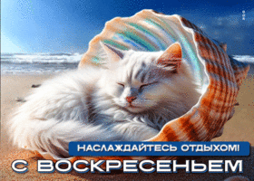 Наслаждайся отдыхом! С воскресеньем