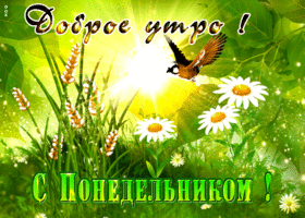 Насыщенная открытка Доброе утро! С понедельнииком!