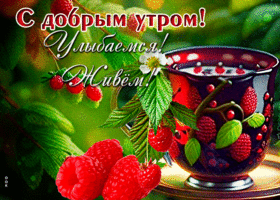 Насыщенная открытка С добрым утром! Улыбаемся! Живем!