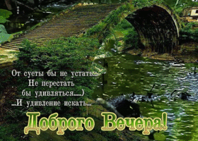 Не перестать бы удивлятся и удивление искать