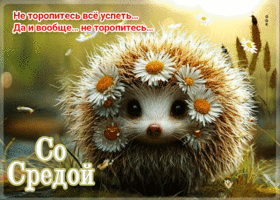 Не торопитесь все успеть, да и вообще не торопитесь. Со средой