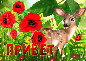 Необычная, приятная открытка привет