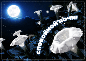 Необычная открытка спокойной ночи. Счастья и веры в лучшее