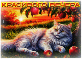 Необычная летняя гиф-открытка Красивого вечера!