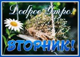 Необычная открытка с ромашкой  Доброго утро! Вторник
