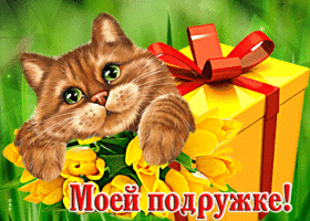 Необыкновенная открытка с котиком и подарком Моей подружке