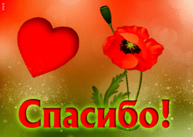 Неординарная открытка с маком Спасибо