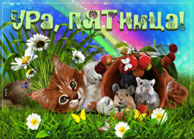 Неужели пятница, наконец-то можно и отдохнуть