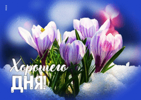 Невероятная анимированная открытка Хорошего дня!