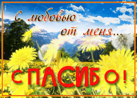 Нежной и красивой спасибо говорю