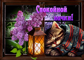 Нежная и ласковая открытка с сиренью Спокойной ночки