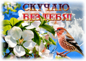 Нежная и романтичная весенняя гиф-открытка Скучаю без тебя