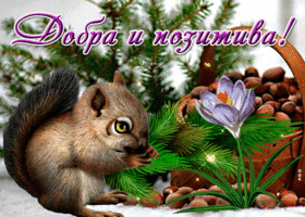 Нежная открытка Добра и позитива! С белочкой