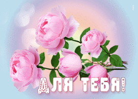 Нежная открытка с розовыми пионами Для тебя!