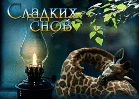 Нежная открытка с жирафиком Сладких снов