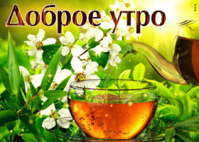 Нежная весенняя открытка с чаем Доброе утро