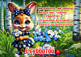 Ни работы, ни заботы, ведь у нас сейчас суббота