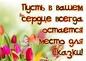 Никогда не унижайся