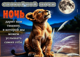 Ночь дарит нам тишину, в которой мы можем услышать самих себя