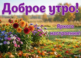 Новый осенний день начинается с мягкого света и свежего воздуха.