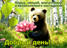 Новых эмоций, впечатлений и великолепного настроения! Добрый день