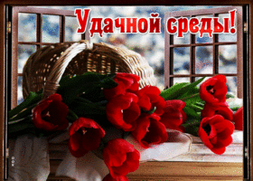 Обалденная открытка с тюльпанами Удачной среды