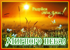 Обожаю тебя