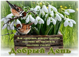 Обворожительная весенняя гиф-открытка Добрый день