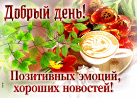 Очаровательная и кокетливая гиф-открытка Добрый день