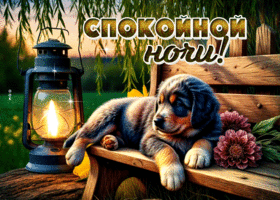Очаровательная и лёгкая гиф-открытка Спокойной ночи