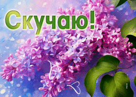 Очаровательная и прелестная гиф-открытка Скучаю