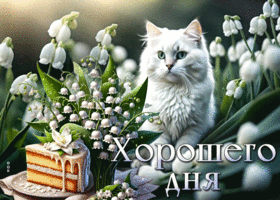 Очаровательная и яркая гиф-открытка Хорошего дня