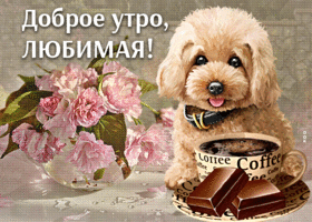 Очаровательная открытка Доброе утро, любимая! С собачкой