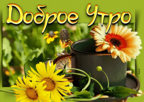 Очаровательная открытка Доброе утро! С желтыми цветами