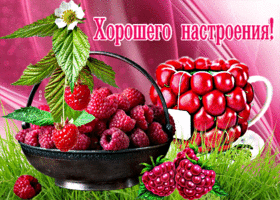 Очаровательная открытка Хорошего настроения! С малиной