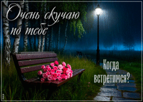 Очень скучаю по тебе, когда встретимся?