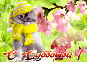 Очаровательная открытка с субботой, с весенними цветами